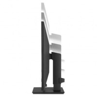 Monitor Profesional LG 24BL650C-B 23.8 Full HD Multimedia Preto