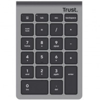 Teclado Numérico Inalámbrico Trust Xalas Wireless/ Plata