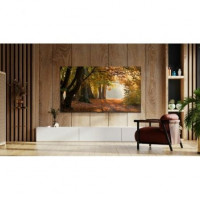 Televisor TCL 43P61B 43