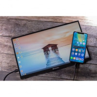 Monitor Portátil Verbatim PMT-17 17.3