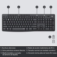 Teclado y Ratón Inalámbricos Logitech Silent Touch MK295 Grafito 