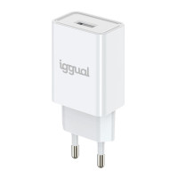 iggual cargador de pared 1xUSB 5V2A (10W)