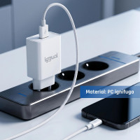 iggual cargador de pared 1xUSB 5V2A (10W)