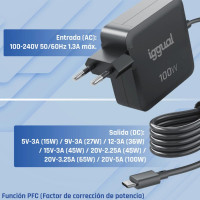 iggual Cargador portátil y móvil tipo C PD 100W