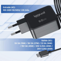 iggual Cargador portátil y móvil tipo C PD 65W