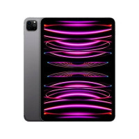 Apple iPad Pro 11' 2022 4th WiFi/ M2/ 1TB/ Gris Espacial - MNXK3TY/A
