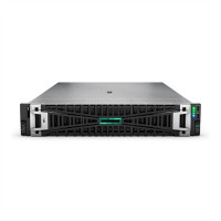 HPE Proliant DL380 G11 5416S/64GB/2X480 SSD
